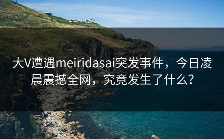 大V遭遇meiridasai突发事件，今日凌晨震撼全网，究竟发生了什么？