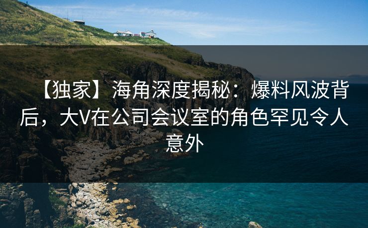 【独家】海角深度揭秘：爆料风波背后，大V在公司会议室的角色罕见令人意外
